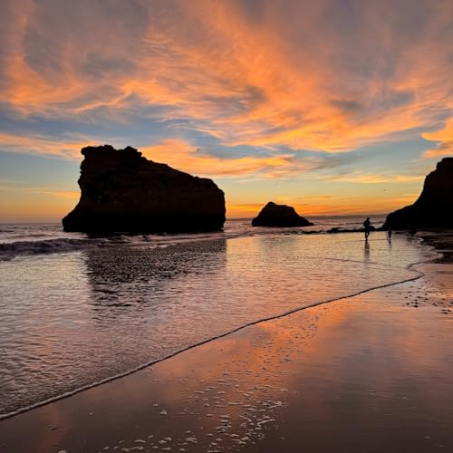 MorfuSinTaxi Prog 209 T7 - PROGRESS16