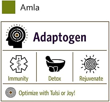 ORGANIC INDIA Amla Powder - Amalaki Indian Gooseberry, Immune Support, Vitamin C for Immune System, Vegan, Ayurvedic Superfood, Antioxidants, Non-GMO, Amla Powder for Hair Growth, Organic - 1 Lb