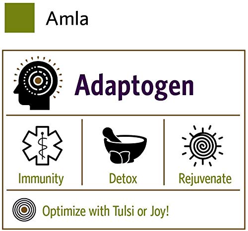 Organic India Amla Powder - Immune Support, Vitamin C For Immune System, Vegan, Gluten-Free, Kosher, Ayurvedic Superfood, Antioxidants, Non-Gmo Amla Powder Organic - 1 Lb Bag #TOP5