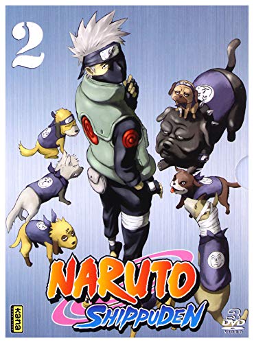 The disk DOES NOT have Italian audio and subtitles.