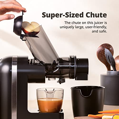 Greater Goods Slow Masticating Juicer - A Powerful, Low-Key, Easy To Clean Cold Press Juicer | A Juice Extractor For The Healthiest, Most Delicious Fruit And Vegetable Juices | Designed In St. Louis #TOP4