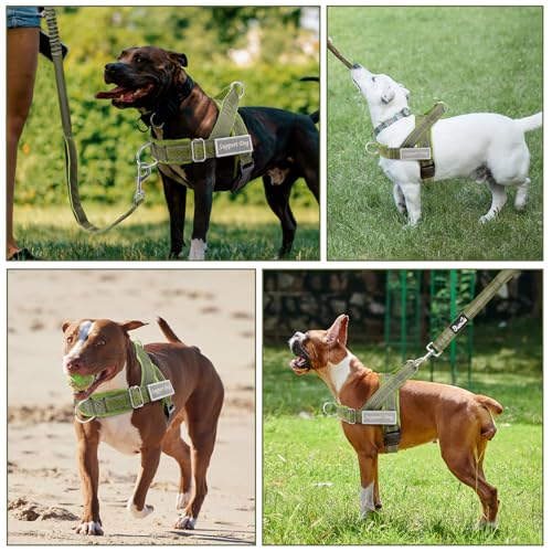 Eyein Hundegeschirr mit Leine für große mittelgroße Hunde, Weich gepolsterter Brustgeschirr mit 2 Leinenclips, Reflektierend & Leichtgewicht Anti Zug Geschirr für Spaziergänge Training, Grün, XL