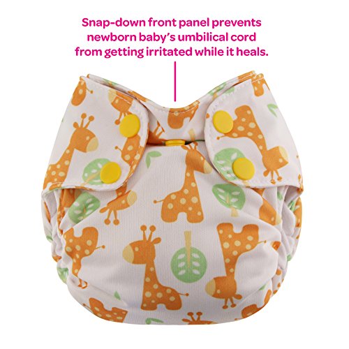 Best Eco Friendly Cloth Diapers for Your Little One