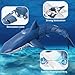Kafuzi 2.4Ghz Remote Control Shark Toys for Pool, 1:18 Scale High Simulation Shark for Kids, Electric RC Sharks Toys with Light & Spray Water Function for 6 7 8 9 Year olds Boys Girls