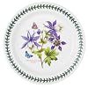 Portmeirion Exotic Botanic Garden 105 Dinner Plate Dragonfly Motif Fine Earthenware Dishwasher Microwave and Oven Safe Made in England For Salad Appetizers Desserts and More
