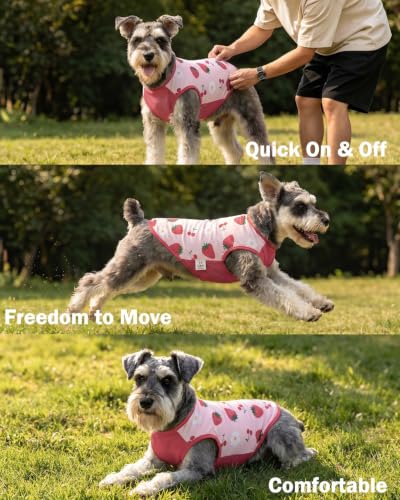 Image of CuteBone Mesh Panel Dog Tank Top - Breathable Dual-Fabric Pet Vest Lightweight Summer Small Dog Shirts - Keep Your Pets Cool, Sun-Protected Outdoors