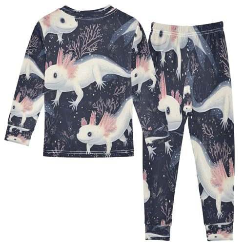 Pajama Sets Long Sleeve Cute Axolotl in Darkness Soft Comfy Sleepwear 2 Piece PJS 3-8T3