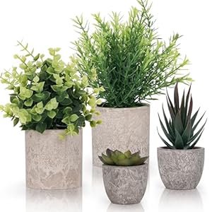 Winter Shore Planta Artificial Verde Pequeña (Pack de 4) – Plantas Artificiales Decorativas con Estilo Campesino – Maceta Interior para Baño y Escritorio de Oficina – Eucalipto y Plantas Suculentas