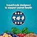 Kaytee Forti-Diet Pro Health Nourish+Protect Parrot Food, Comprehensive Nutrition Backed by Science, Digestive Health, Immune Support, 5 pounds