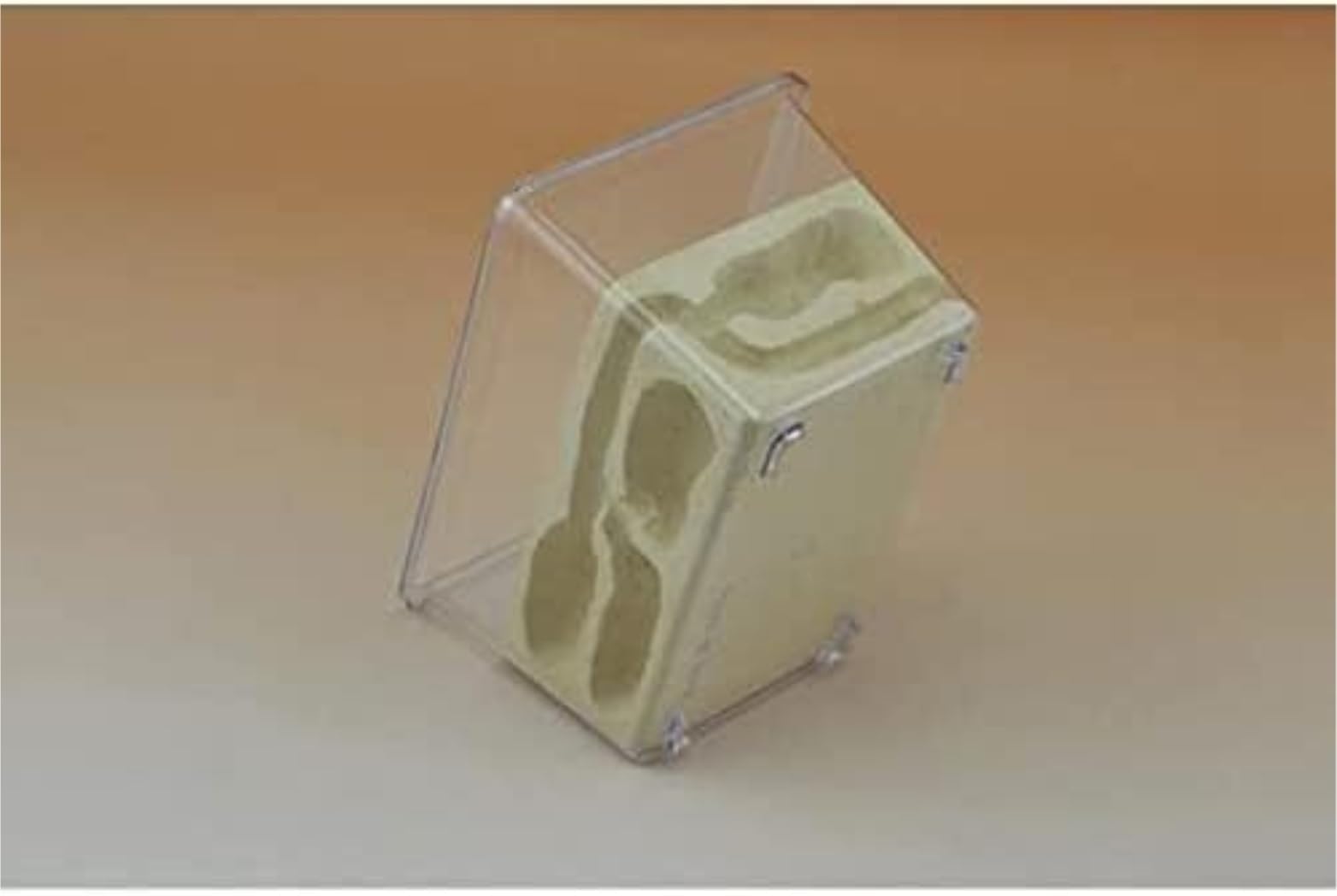 Formicario Ant Castle Research Ecosystem Farm Piccolo Formicaio Tetraedrico 5,1x3,5x3,1 Pollici Nest Habitat Nido Terrario