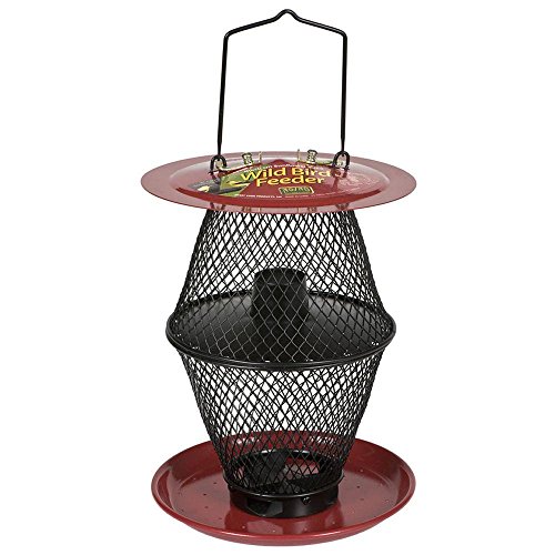 Perky-Pet Mangiatoia Lanterna per Uccelli