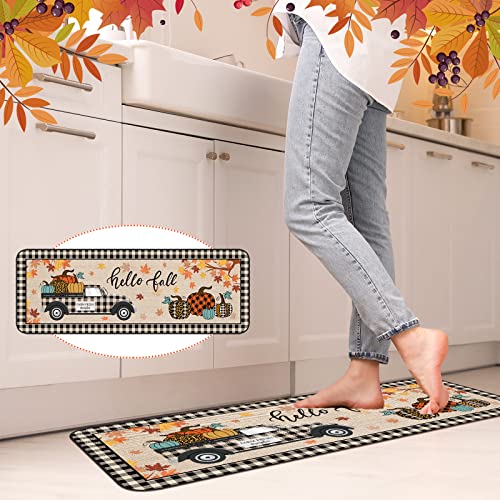 Fall Doormat Autumn Kitchen Rugs Thanksgiving Pumpkin Car Front Door Mat Floor Rug For Fall Home Holiday Decor, 17 X 29 Inches, 17 X 47 Inches #TOP1