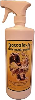 Descale-It Earth Friendly Cleaner (32 FL OZ)