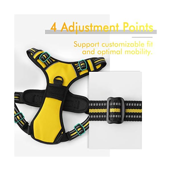 rabbitgoo Dog Harness, No-Pull Pet Harness with 2 Leash Clips, Adjustable Soft Padded Dog Vest, Reflective No-Choke Pet Oxford Vest with Easy Control Handle for Large Dogs, Yellow, XL rabbitgoo Dog Harness, No-Pull Pet Harness with 2 Leash Clips, Adjustable Soft Padded Dog Vest, Reflective No-Choke Pet Oxford Vest with Easy Control Handle for Large Dogs, Yellow, XL