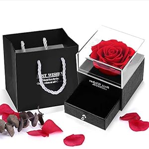 Efanty Eeuwige bloem geschenkdoos geconserveerde roos opbergdoos handgemaakte roos cadeau voor Valentijnsdag, Moederdag…