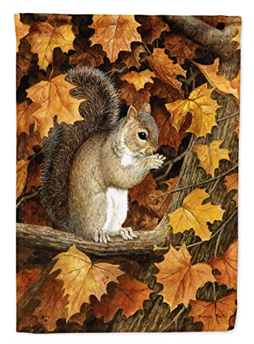 Caroline's Treasures Bdba0388Chf Autumn Grey Squirrel By Daphne Baxter Flag Canvas House Size, House Size, Multicolor #TOP8