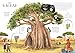 The Tree of Life: A lift-the-flap book about the amazing animals that live in trees around the world (Amazing Habitats)