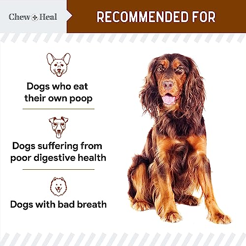 No Poo Chews for Dogs, 120 Soft Chews, Chicken Flavor Chew No Poo Bites - Dog Coprophagia Treatment, Deterrent to Stop Eating Poop - Treats Bad Breath and Boosts Gut Health - Made in USA