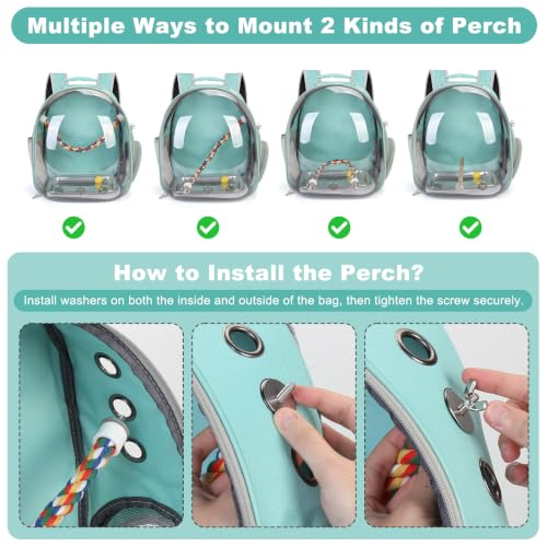 Image of Bird Travel Carrier, Bird Backpack Cage with Rope & Wood Perches Tray Food Bowl, Portable Clear Bubble Window Breathable Mesh Bag for Small Medium Parrots Cockatiel Parakeet Budgies Conures Lovebirds