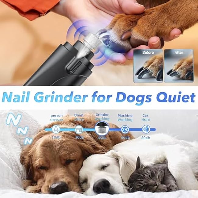 2 in 1 Dog Nail Clippers and Grinder with Lights & Cat Nail Clipper for Large Medium Small Dogs Cats Nail Trimmers USB Rechargeable with 2 LED Lights Dog Claw Care for Non-Black Nails-wphHr4MJ