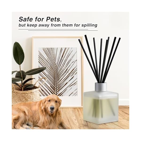   Brakula-Reed-Diffusers-Set-Bamboo-White-Tea-Scented-Aromatic-Oil-Diffuser-with-10-Sticks-for-Room-Decor-61-oz-180ml-Long-Lasting-Fragrance
