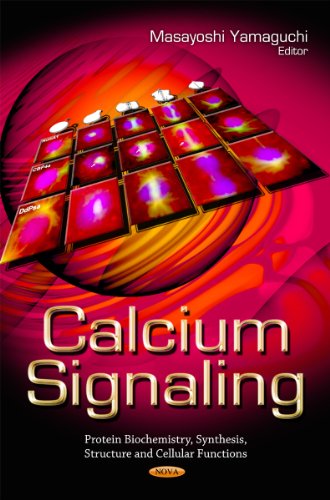 Calcium Signaling view 2