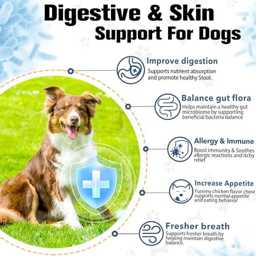Probiotics for Dogs Digestive Health, Natural Probiotic Supplement with Digestive Enzymes and Prebiotic - Image 4