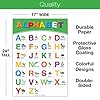 20 Extra Large Educational Posters For Kids Toddlers (24x17 Double Sided English/Spanish) Alphabet Colors Letters Numbers Shapes Months Days Weather Time Animals Solar System Seasons Map #2