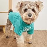 Cute Dog Clothes, T Shirt for Medium and Small Dogs Girl Boy,Puppy.Breathable Soft Dog Costume for Pet Dogs Cats, Pet Pullover Jumper, Cat Clothes (M-(7~11lb), Chest~16', Aqua)
