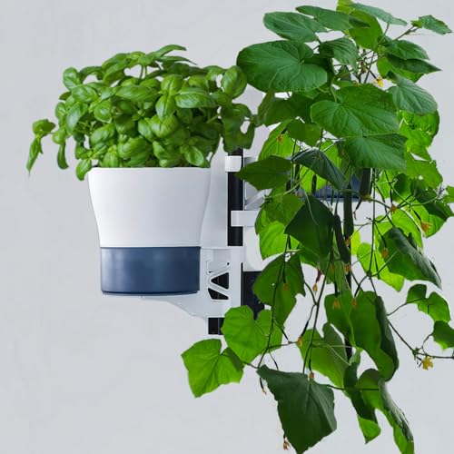 Wall Vertical Garden Planters for Indoor Plants