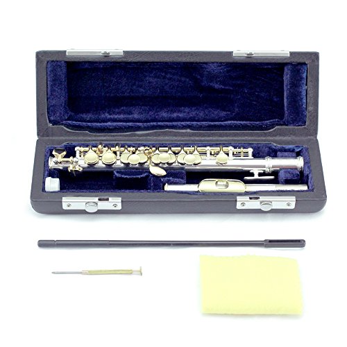 image for Sky(Paititi) Band Approved Piccolo Key of C with Hard Case, Cloth, Cle