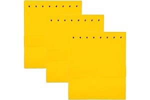 Blue's Clues Handy Dandy Notebook