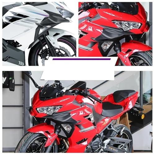 Ailerons latéraux de moto pour sublimer vos sorties et virées - 7