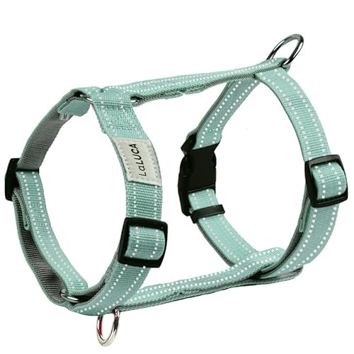 [LaLUCA GOODS]  n[lX ^ ^ ^ Ȃ EȂ ɂ GXP[vK[h Č  킢 ȒP S