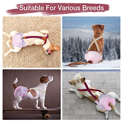 Pet Soft Hundewindel-Hosenträger, 2 Stück Hunde-Hosenträger für Hundewindeln, Hundepampers, Bauchbänder, Haustier-Kleidung (Beige-Wine, L)