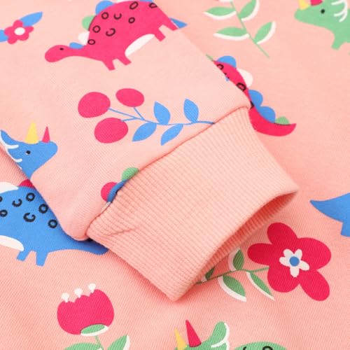 Image of Hongshilian Unisex Kids Cute Cartoon Cotton Sweater Shirt