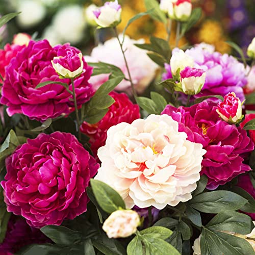 4pcs múltiples variedades diferentes tubérculos de peonía mixtos Flores decorativas indispensables en vida cotidiana Amplia gama usos Póngalo en interiores para purificar el aire Cover