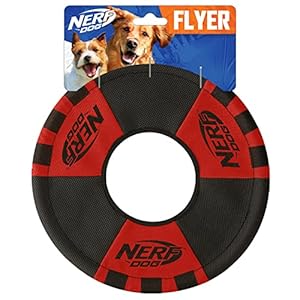 Nerf Dog 8935 Dysk dla Psa