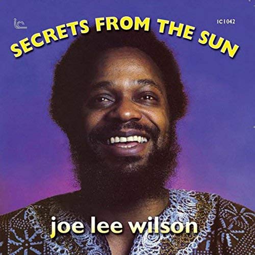 JOE LEE WILSON - Secrets From The Sun - CD
