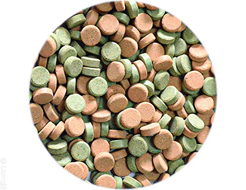 Premium Tropical Fish Food Tablets- Compare to Sera O-Nip! - Stick On Glass Or Sink To Bottom Tablets 4.58oz 250ml - Sticks On Aquarium Glass for Fun with All Types of Fish! - Pellet Fish Food- - Thumbnail 2