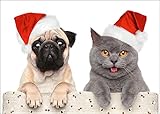 Witziges Weihnachtskarten-Set (10 Postkarten) mit süssem Mops mit Katze - Ideal für Tierfreunde oder Familien mit Kindern.