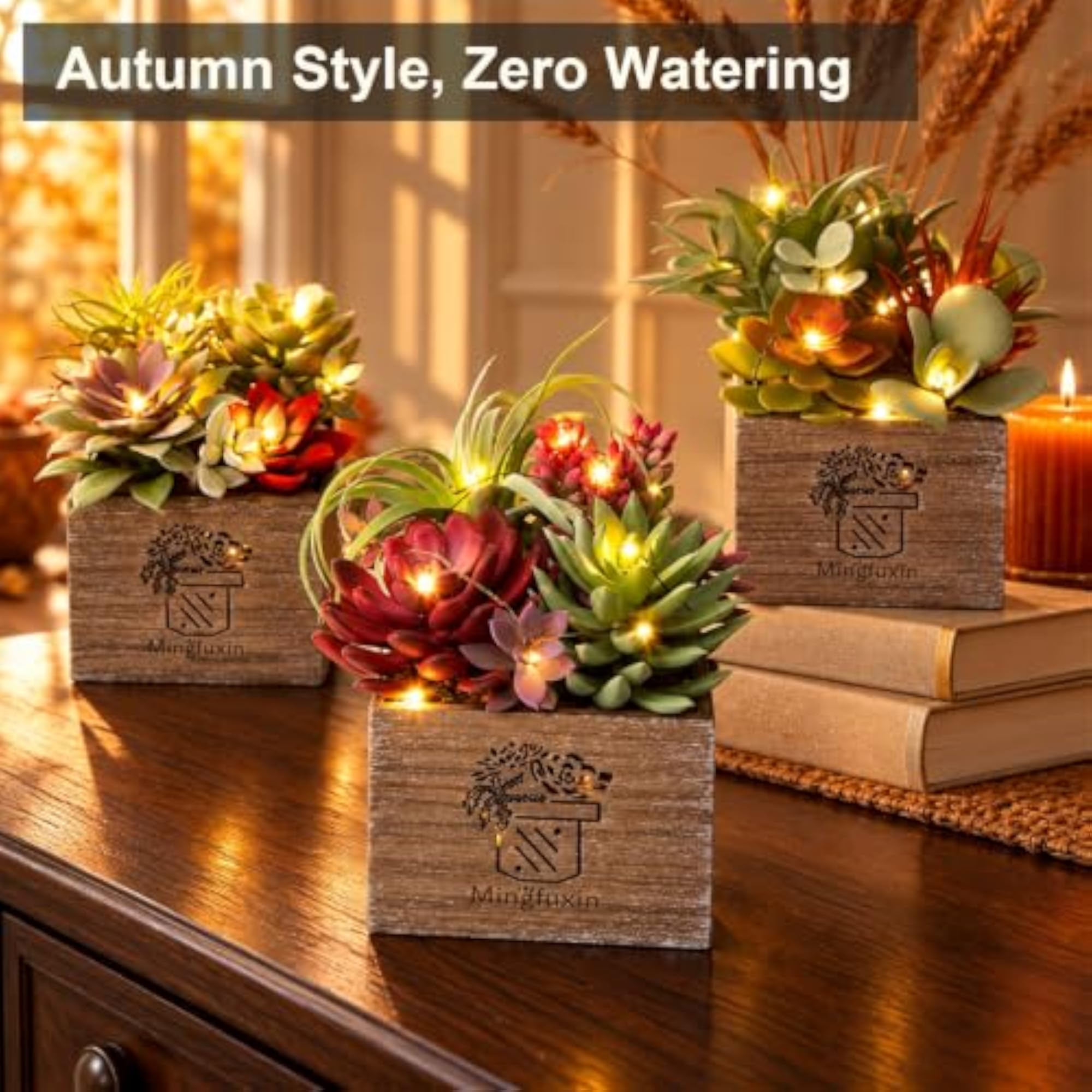 Succulents Plants Artificial with Light for Home Office Decor