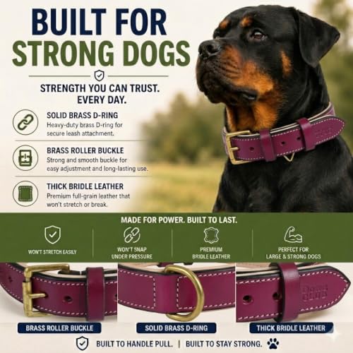 Image of Genuine Leather Dog Collar, Dark Pink, Medium, Brass Buckle, Padded | 1 Inch Wide, Fit Neck Size - 14.5 inch - 18.5 inch, Double D Ring, Adjustable, Thick Leather, Heavy Duty, Soft Leather padding