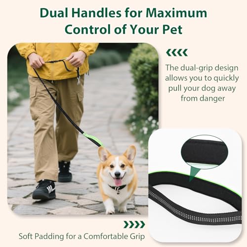 Euqvunn 3-in-1 Doppelte Gepolsterte Griffe Hundeleine – 1,6m bis 2,2m, Elastische Joggingleine Hunde Zubehör für Mittelgroße Hunde, Ideal für Laufen, Spazierengehen, Wandern & Reisen