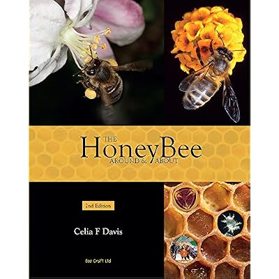 The Honey Bee Around and About