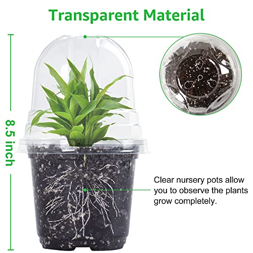 Bonviee 36 Packs 3.5/4/5 Inch Clear Nursery Pots With Humidity Domes, Variety Sizes Seed Starting Pots With Drainage Holes, Transparent Garden Containers For Succulents, Flowers And Cactus-Clear #TOP3