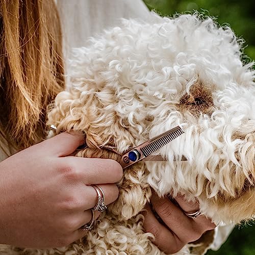 Mikki Doodle, Dog, Puppy Face & Paw Thinning Scissors, Sharp & Durable Semi-Convex Blade, V-Shaped Teeth, Blunted Safety Tips - Image 4