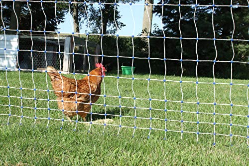 Starkline Electric Poultry Netting Kit White Blue Poultry Netting 48 164 Length Amazon In Garden Outdoors Starkline Electric Poultry Netting Kit White Blue Poultry Netting 48 164 Length Amazon In Garden Outdoors