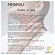ERBOTECH Propolis Spray 30 ml, Urtinktur, reiner Extrakt, geeignet für KINDER, natürliches Heilmittel gegen Halsschmerzen und Husten, trägt zum Wohlbefinden der Atemwege bei, Made in Italy