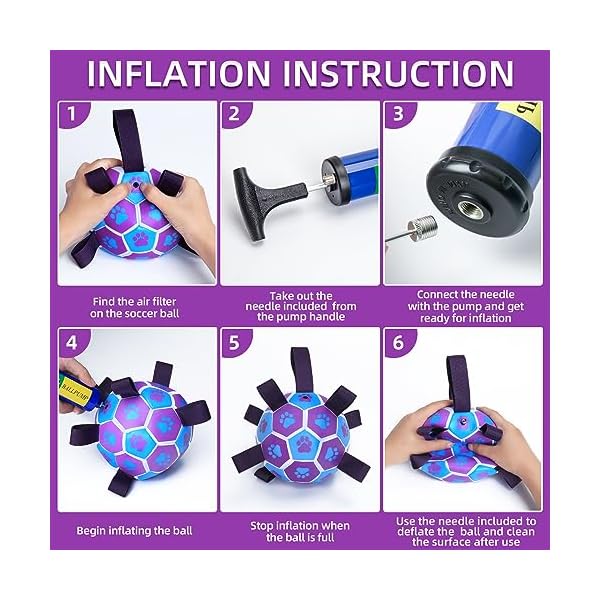 Purple Dog Soccer Ball Toy